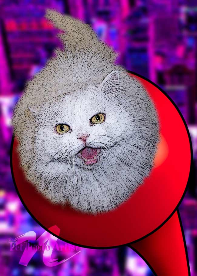 Pop cat